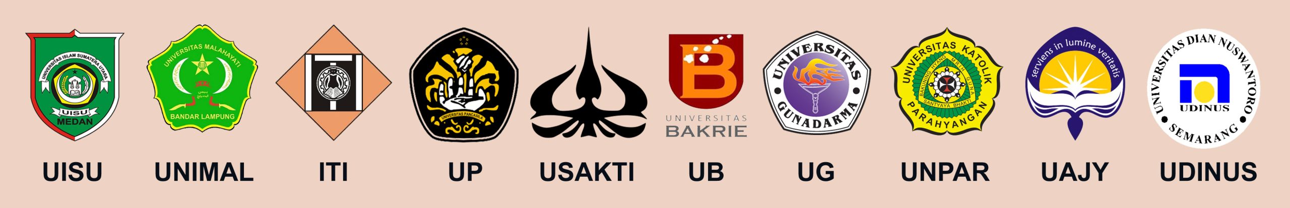 logo umbpts 2014 bg coklat 10 PTS